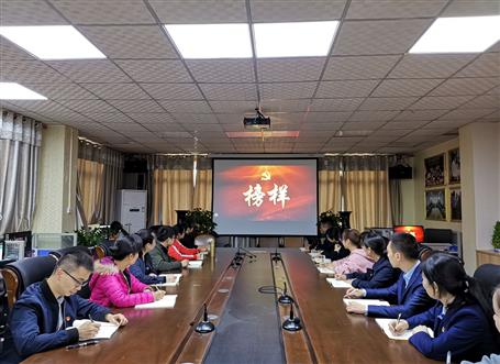 向榜樣看齊，做合格黨員