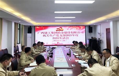 公司機關(guān)生產(chǎn)黨支部召開2021年度組織生活會